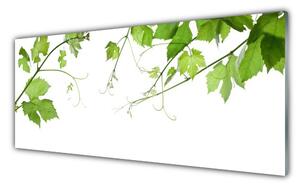 Obraz Szklany Gałęzie Liście Natura Kwiaty