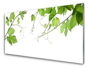 Obraz Szklany Gałęzie Liście Natura Kwiaty