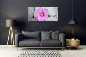 Obraz Szklany Kwiat Spa Roślina