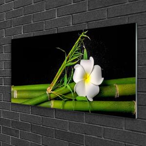 Obraz na Szkle Bambus Kwiat Roślina