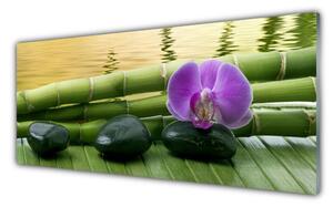 Obraz na Szkle Kwiat Kamienie Bambus Natura