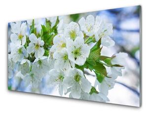 Obraz Szklany Kwiaty Drzewo Liście Natura