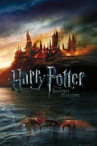 Plakat, Obraz Harry Potter - P on cy Hogwart, (61 x 91.5 cm)
