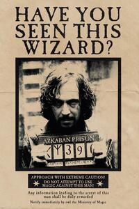Plakat, Obraz Harry Potter - Wanted Sirius Black, (61 x 91.5 cm)