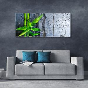 Obraz Szklany Bambus Liść Roślina Przyroda