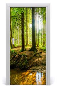 Naklejka fototapeta na drzwi Strumień w lasie