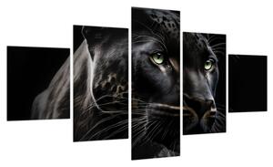 Obraz - Czarna Pantera (125x70 cm)