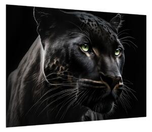 Obraz - Czarna Pantera (70x50 cm)