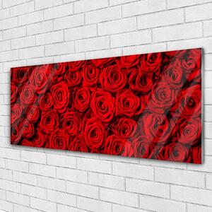 Obraz na Szkle Róże Na Ścianę