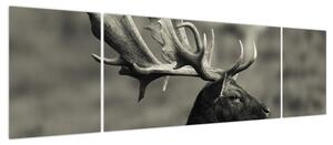 Obraz - Jeleń (170x50 cm)
