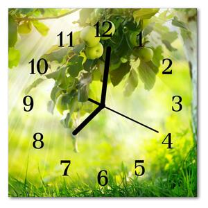 Zegar szklany kwadratowy Jabłoń