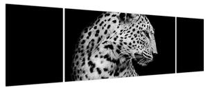 Obraz - Lampart (170x50 cm)