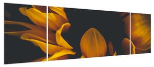 Obraz - Słoneczniki na czarnym tle (170x50 cm)