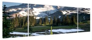 Obraz - Mount Rainier (170x50 cm)