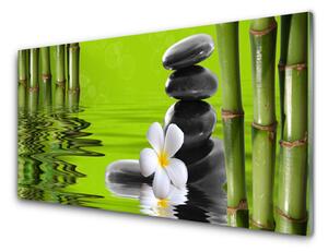 Obraz na Szkle Bambus Kamienie Roślina