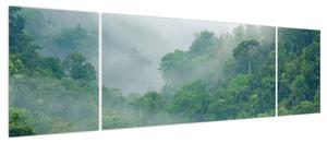 Obraz - Poranna mgła (170x50 cm)