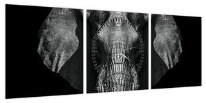 Obraz - Słoń na czarnym tle (z zegarem) (90x30 cm)