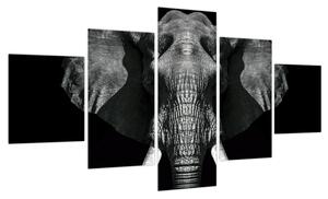 Obraz - Słoń na czarnym tle (125x70 cm)