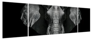 Obraz - Słoń na czarnym tle (170x50 cm)