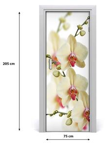 Naklejka samoprzylepna na drzwi Orchidea