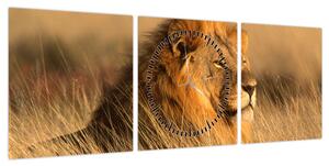 Obraz - Park Narodowy Etosha (z zegarem) (90x30 cm)