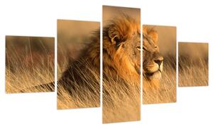 Obraz - Park Narodowy Etosha (125x70 cm)