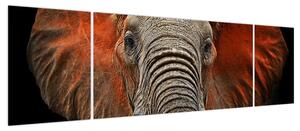 Obraz - Słonie z Tsavo (170x50 cm)