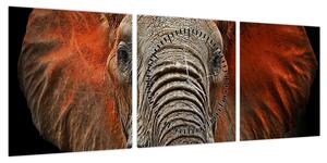 Obraz - Słonie z Tsavo (z zegarem) (90x30 cm)