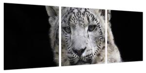 Obraz - Snow Leopard (z zegarem) (90x30 cm)