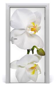 Naklejka samoprzylepna na drzwi Biała orchidea
