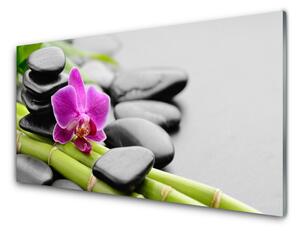 Obraz Szklany bambus Kwiat Kamienie Sztuka