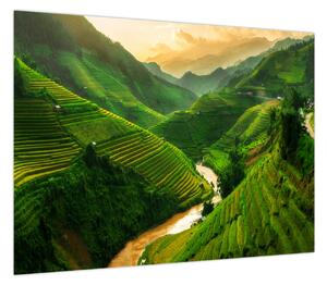 Obraz - Tarasy ryżowe Mu Cang Chai (70x50 cm)
