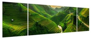 Obraz - Tarasy ryżowe Mu Cang Chai (170x50 cm)