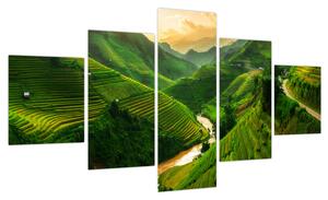 Obraz - Tarasy ryżowe Mu Cang Chai (125x70 cm)