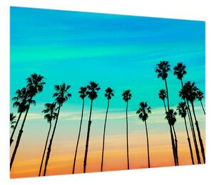 Obraz - Kalifornia (70x50 cm)