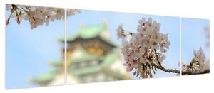 Obraz - Sakura (170x50 cm)