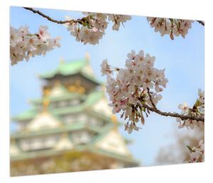Obraz - Sakura (70x50 cm)