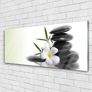 Obraz na Szkle Kwiat Kamienie Sztuka
