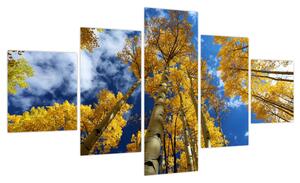 Obraz - Aspen (125x70 cm)