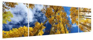 Obraz - Aspen (170x50 cm)