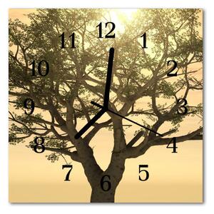 Zegar ścienny kwadrat Drzewo