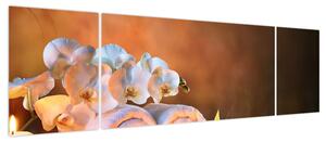 Obraz - Relaks i spa (170x50 cm)