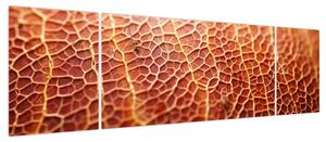 Obraz - Szczegóły tekstury (170x50 cm)