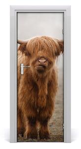 Fototapeta samoprzylepna na drzwi Krowy Wzgórza