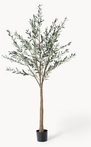 Sztuczna roślina dekoracyjna Olive Tree