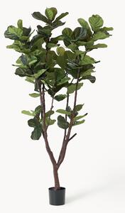 Sztuczna roślina dekoracyjna Fiddle Leaf Fig