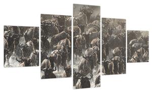 Obraz - Stado antylop gnu (125x70 cm)