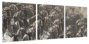 Obraz - Stado antylop gnu (z zegarem) (90x30 cm)