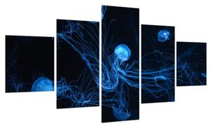 Obraz - Meduza (125x70 cm)
