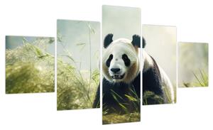 Obraz - Panda (125x70 cm)